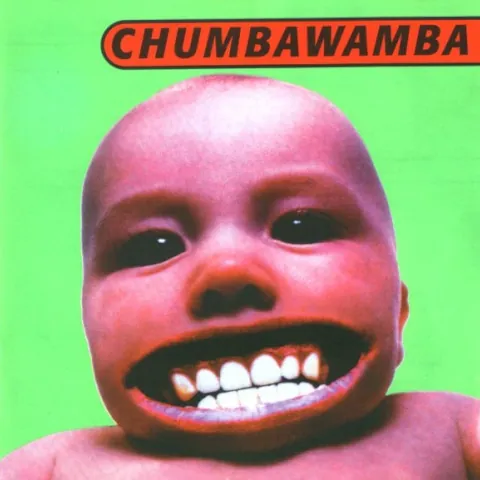 Tubthumper (Expanded Edition) by Chumbawamba, album cover (original album artwork)