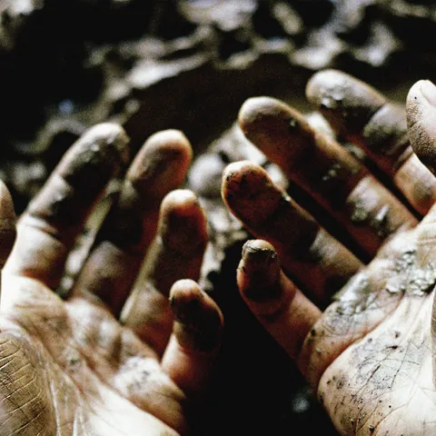 What To Make Of These Mortal Hands by Dis Fig, album cover